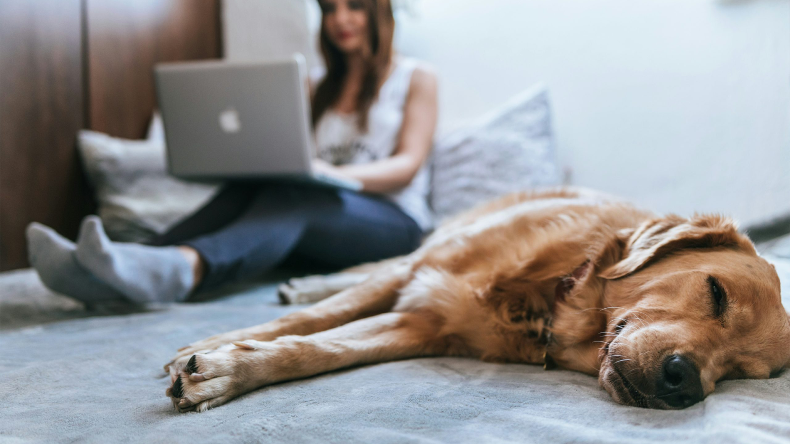 a woman is sitting on a bed with a dog on her lap at The Brookbend